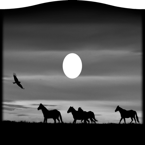 Animals 417