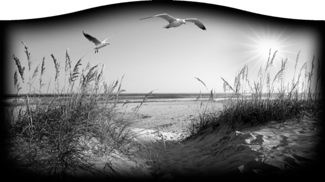 Beach 530