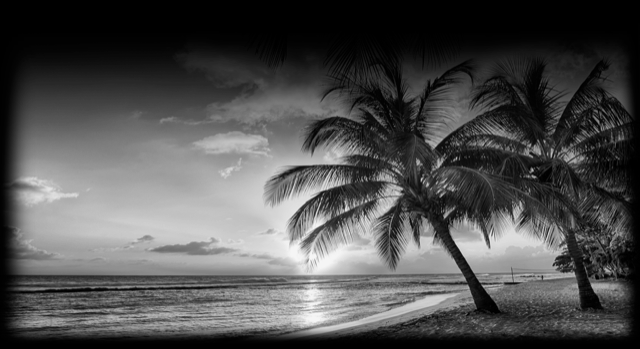 Beach 533