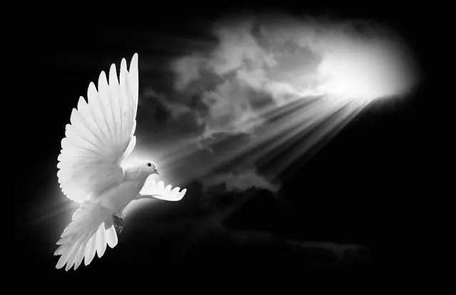 Faith 160
