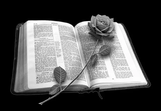 Faith 166