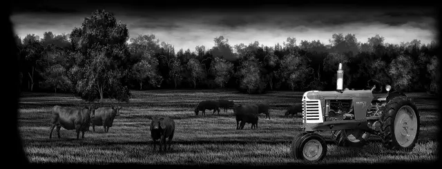 Farm 211