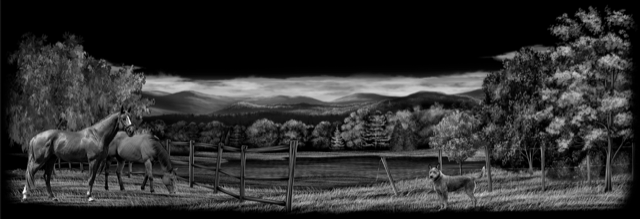 Farm 215