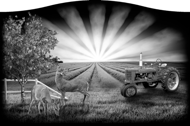 Farm 216