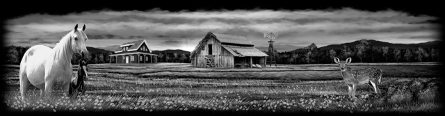 Farm 217