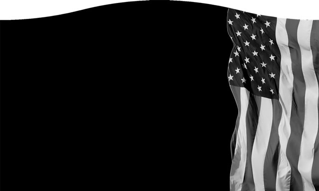Flags 861