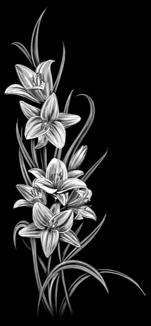 Floral 647