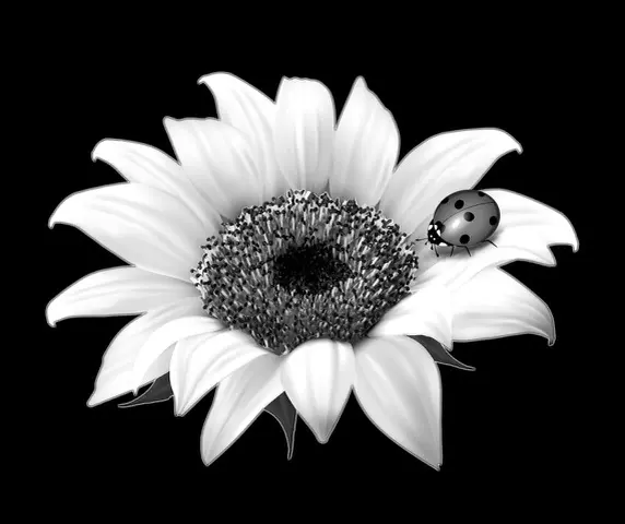 Floral 649