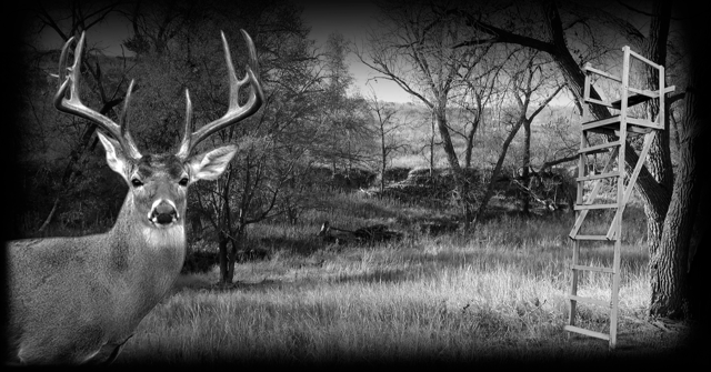 Hunting 322