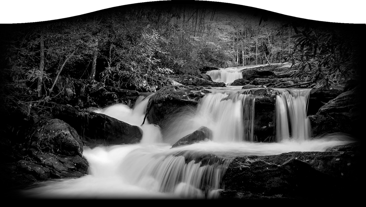Landscape 538