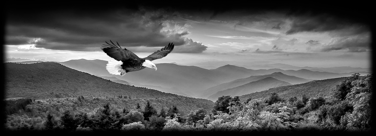 Landscape 669