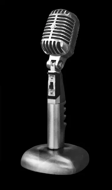 Music 363